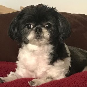 Meet your Posher, Sharon